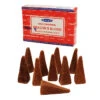 Satya Nag Champa Dragon Blood Backflow DHOOP Incense 10 Cones -Glass Smoke Store Backflow Satya nag champa dragon blood dhoop 10cones
