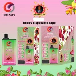 5000 Puffs One Vape Buddy Disposable Vape Mesh Coil Cherry Pomegranate