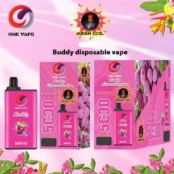 5000 Puffs One Vape Buddy Disposable Vape Mesh Coil Grape Ice