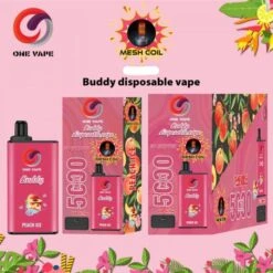 5000 Puffs One Vape Buddy Disposable Vape Mesh Coil Peach Ice